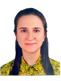 Asst. Prof. Dr. Gulin ELIBOL SECIL